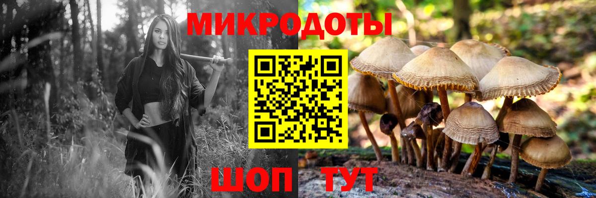 Галлюциногенные грибы прущие грибы  Вход с VPN  Курск 