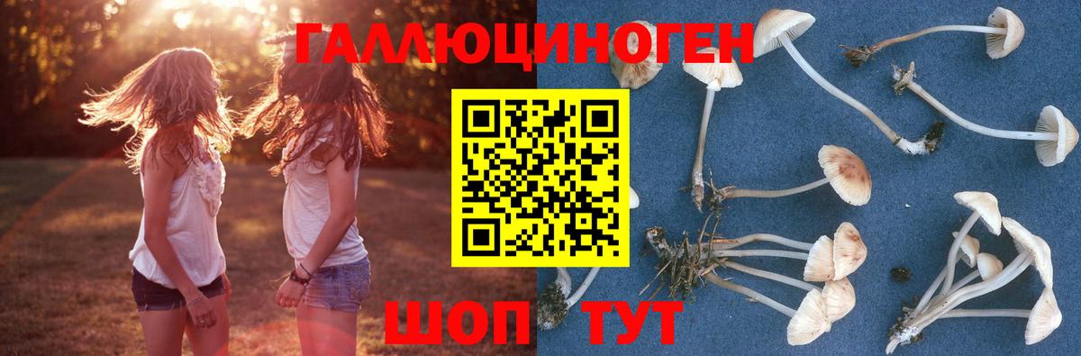 Галлюциногенные грибы GOLDEN TEACHER Курск